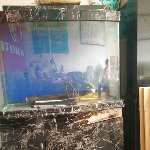 鋼琴、魚缸專運(yùn)現(xiàn)場(chǎng)